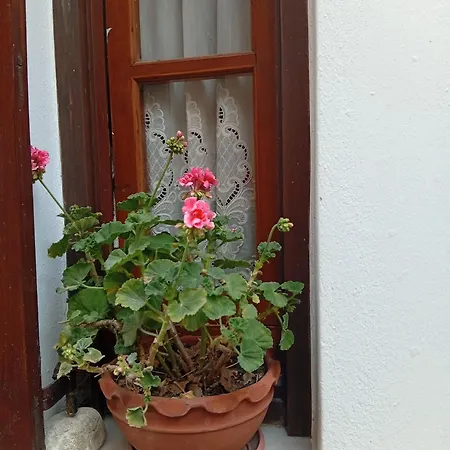 Irida Mariasmall 아파트 *